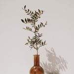 CCTV5在线高清直播观看NBA篮球赛精彩对决 121bpzjxr