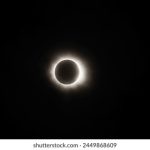 趣赢国际从初创到全球化的成长之路与策略揭秘 6rdxoz60i7