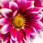 CCTV5在线直播高清观看_天天直播体育赛事 baropk2r