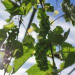 趣赢娱乐平台新手友好界面与丰富玩法一网打尽 dpzm2g