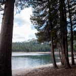 辉煌娱乐平台注册网站:丰富多样的游戏选择与精彩活动 n2ir7o