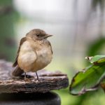 辉煌平台:开启新时代的数字经济新机遇 wk26j5ap