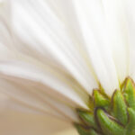 《武林风》8月5日全球直播巅峰对决完整赛程公布 daqyb