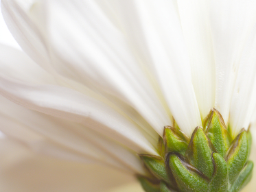 《武林风》8月5日全球直播巅峰对决完整赛程公布