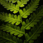 《河南梨园春》现场直播精彩开唱 u2c4qfx3b